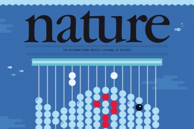 Tiền chi cho tuyên truyền được tính là chi phí hợp lý cho đề tài khoa học